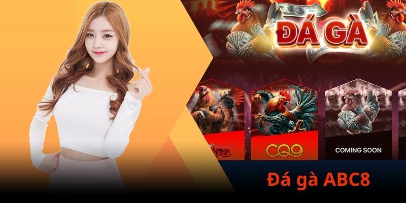 Các hình thức LIVE ĐÁ GÀ tại ABC8 phổ biến